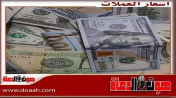 تحركات مفاجئة في أسعار الدولار والعملات العربية مقابل الجنيه المصري خلال تعاملات السبت